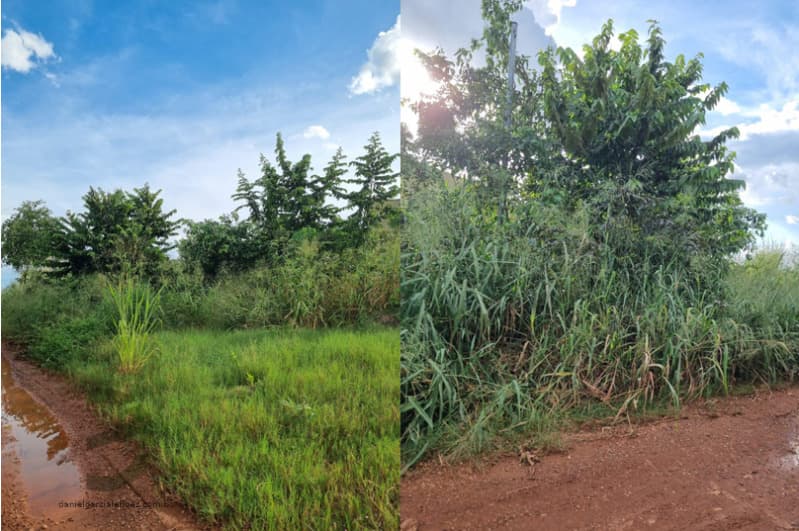 Imóvel - leilão judicial - Cuiabá MT - lance mínimo R$ 80.000