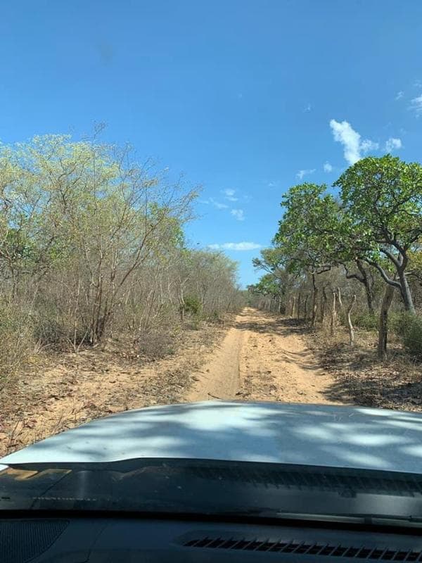 Fazenda Guarani • • Localizada no município de Mansidão-BA próximo a Barreiras - leilão extrajudicial - Mansidão/BA BA - lance mínimo R$ 17.500.000