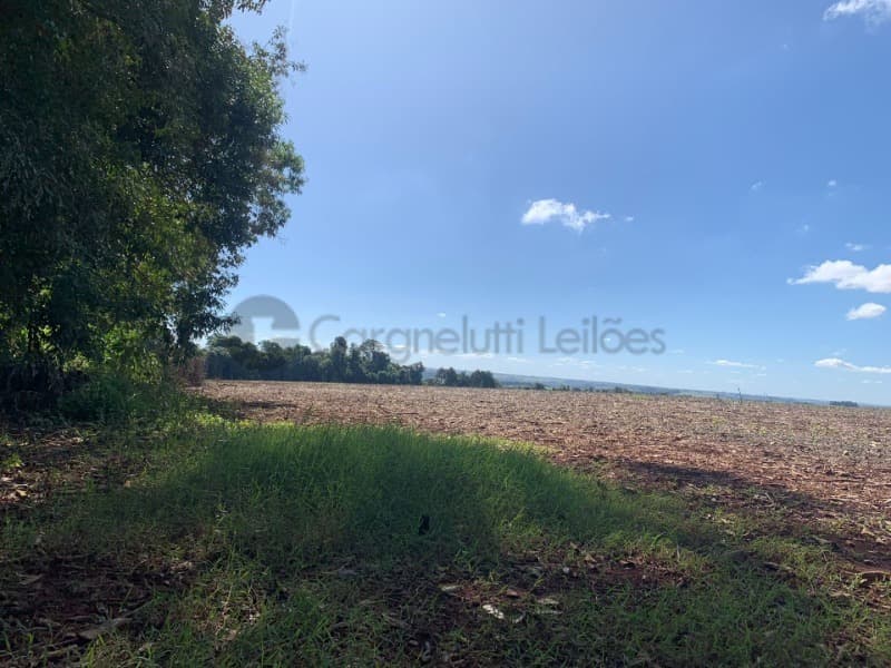 2ha de terras de cultura em CORONEL BARROS/RS - leilão extrajudicial - Coronel Barros RS - avaliação R$ 2.000.000