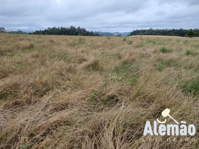 Uma fração de terras de cultura, com a área superficial de 70.000,00m², situado - leilão extrajudicial - Arroio do Tigre/RS RS - lance mínimo R$ 431.375