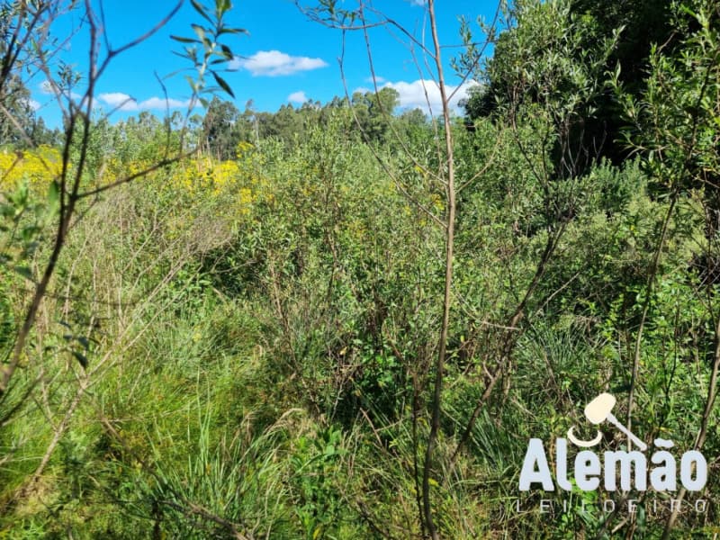 Quota ideal de 1.000,00m², da área urbana, localizada no Bairro Expedicionário, - leilão extrajudicial - Soledade/RS RS - lance mínimo R$ 511.700