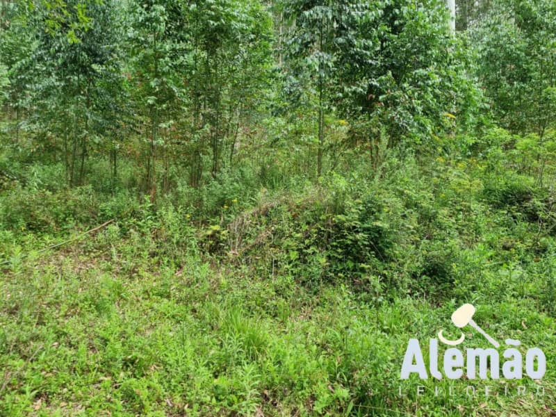 Lote rural n.º 119-C, Linha Araponga, Município de Itapuca/RS, sem benfeitorias, - leilão extrajudicial - Itapuca/RS RS - lance mínimo R$ 137.700