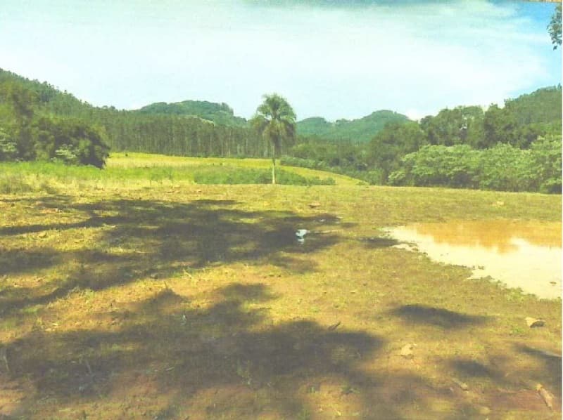 Lote Rural n.º 82, da Secção Parobé, situado no Município de Itatiba do Sul, RS, - leilão extrajudicial - Itatiba do Sul/RS RS - lance mínimo R$ 350.408