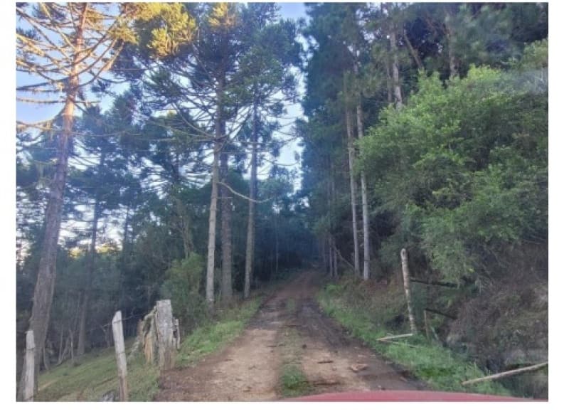 UM TERRENO RURAL, com a área superficial de 276.864,45m2 (duzentos e setenta e s - leilão judicial - Bom Jardim da Serra/SC SC - lance mínimo R$ 484.513