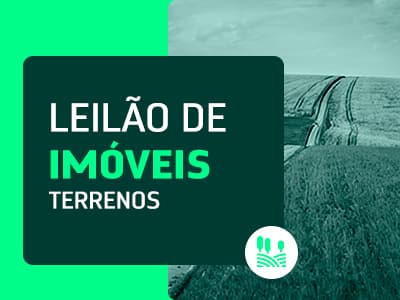 Área Rural com 100.1311ha - Fazenda Nova SANTA LUZIA MA - leilão judicial - SANTA LUZIA MA - lance mínimo R$ 286.061