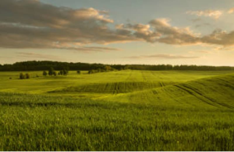FRAÇÃO IDEAL DE 16,66% DE UM IMÓVEL RURAL DENOMINADO “SANTA MARIA”, COM 07,26,00 HECTARES - leilão judicial - Leopoldina MG - lance mínimo R$ 6.664