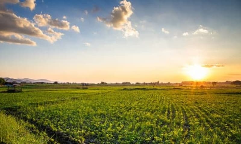 UMA GLEBA DE TERRAS SITUADA NA FAZENDA GAMELEIRA, LUGAR DENOMINADO PÉ DE MOLEQUE, EM COROM - leilão extrajudicial - Coromandel MG - lance mínimo R$ 656.620