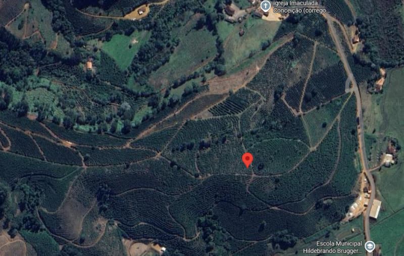 TERRENO RURAL DE 5 ALQUEIRES EM SIMONÉSIA/MG COM PLANTAÇÃO DE CAFÉ - leilão judicial - Simonésia MG - lance mínimo R$ 830.000