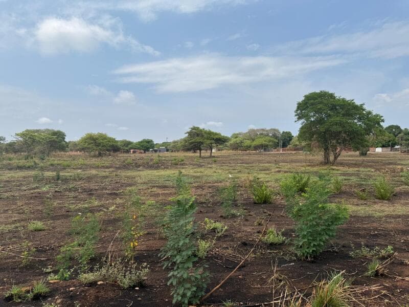 Lote nº 13 da Quadra nº 47, com área de 417,74 m², o qual está matriculado sob o - leilão extrajudicial - Araguacema/TO TO - lance mínimo R$ 35.926