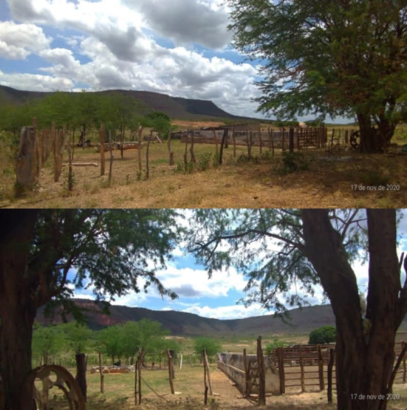 Uma gleba de terras localizada no Sítio Gameleira, Ipubi/PE - leilão judicial - Ipubi PE - lance mínimo R$ 40.000