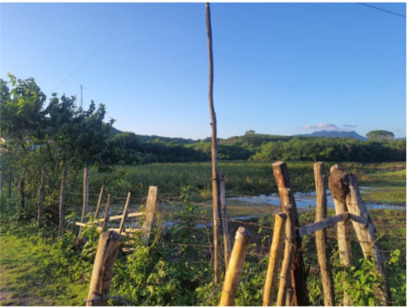 Terreno situado na Rodovia CE-065, Maranguape/CE - leilão judicial - Maranguape CE - lance mínimo R$ 556.500