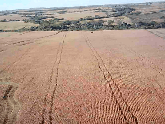 Terreno - Nova Guarita MT - Comercial,Rural,Residencial - Nova Guarita/MT. A) Terreno rural com área superficial de 106,6514 ha, situado no lugar denominado Fazenda Deus Me Deu, melhor descrito(a), confrontado(a) e caracterizado(a) em matrícula. Matrícula 9.880 do RI da Comarca de Terra Nova do Norte/MT. - leilão extrajudicial - Não informado BR - lance mínimo R$ 8.000.000
