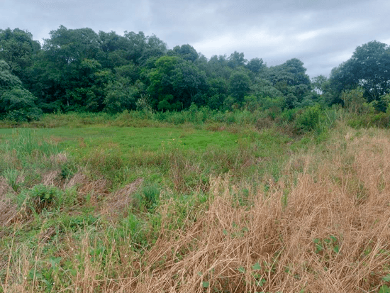 Terreno - Campos Novos - SC - Terreno Rural - Campos Novos/SC. Distrito de Encruzilhada. Terreno rural com área superficial de 4,476132ha, situado no lugar denominado Sítio Darold, Via Encruzilhada e Capinzal, melhor descrito(a), confrontado(a) e caracterizado(a) em matrícula. INCRA 55834355237. Matrícula 40.733 do RI local. - Não informado BR - lance mínimo R$ 415.038