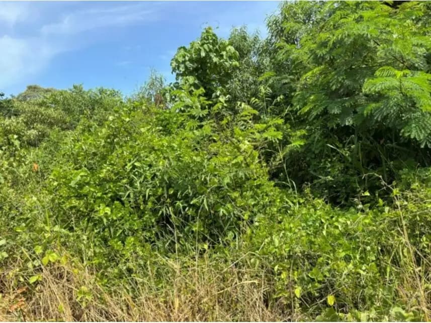 Lote à venda em leilão - leilão judicial - Jundiaí SP - lance mínimo R$ 104.296