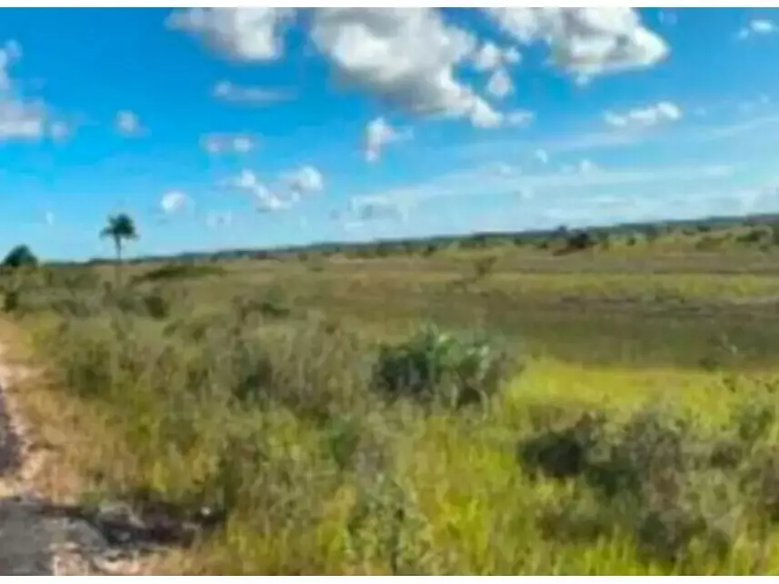 Área Rural à venda em leilão - leilão extrajudicial - Belmonte BA - lance mínimo R$ 710.000