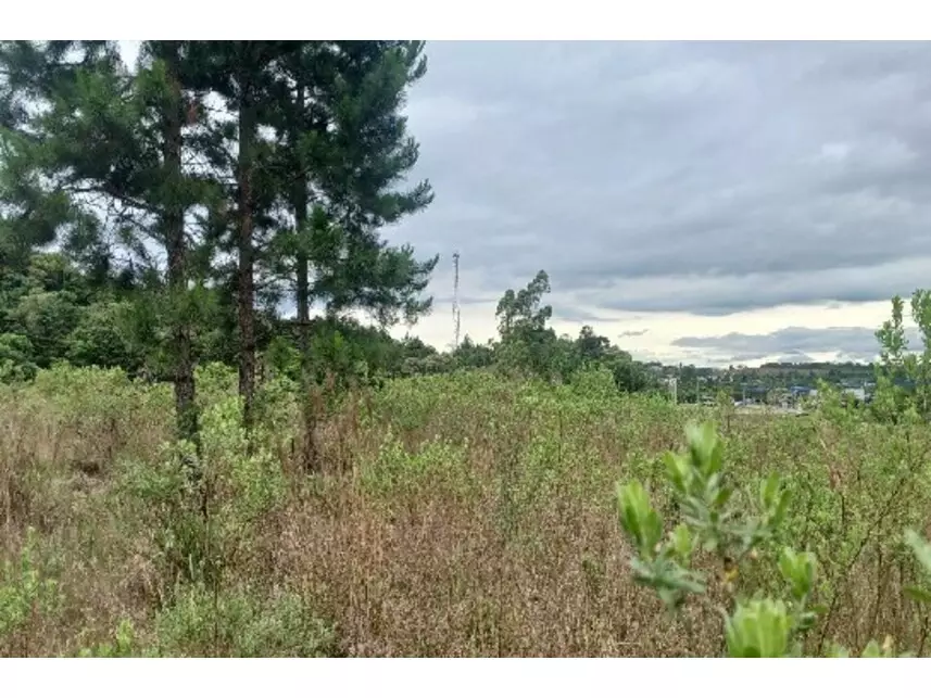 Área Rural à venda em leilão - leilão extrajudicial - Balsa Nova PR - lance mínimo R$ 595.800