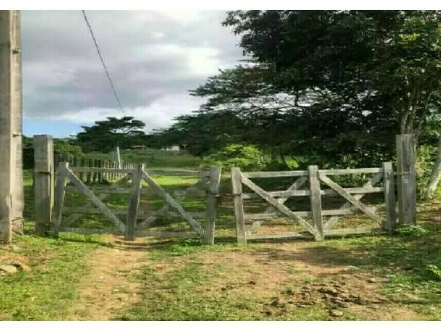 Fazenda à venda em leilão - leilão extrajudicial - Maragogipe BA - lance mínimo R$ 170.033