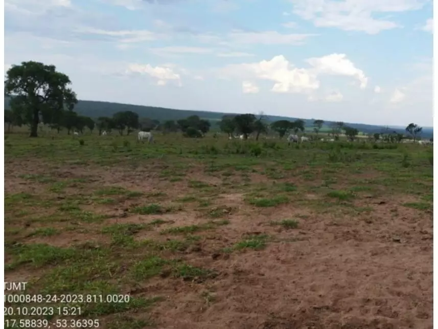 Área Rural à venda em leilão - leilão judicial - Alto Araguaia MT - lance mínimo R$ 1.151.525