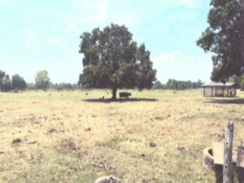 Terreno à venda em leilão - leilão extrajudicial - Porto Estrela MT - lance mínimo R$ 520.000