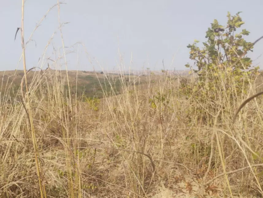 Fazenda à venda em leilão - leilão extrajudicial - Lagamar MG - lance mínimo R$ 1.285.315
