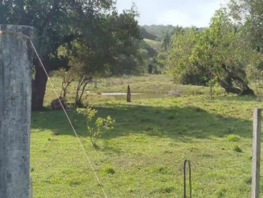 Terreno à venda em leilão - leilão extrajudicial - Jaguaripe BA - lance mínimo R$ 530.000