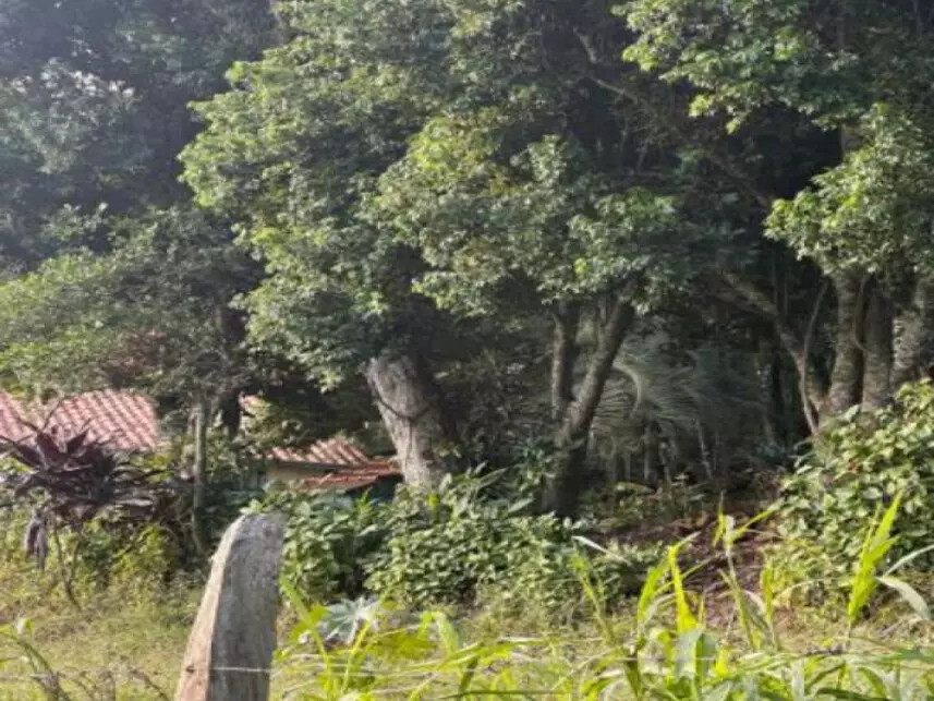 Chácara à venda em leilão - leilão extrajudicial - Igrejinha RS - lance mínimo R$ 215.448