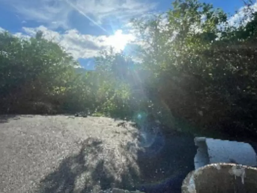 Fazenda à venda em leilão - leilão extrajudicial - Itajaí SC - lance mínimo R$ 136.693