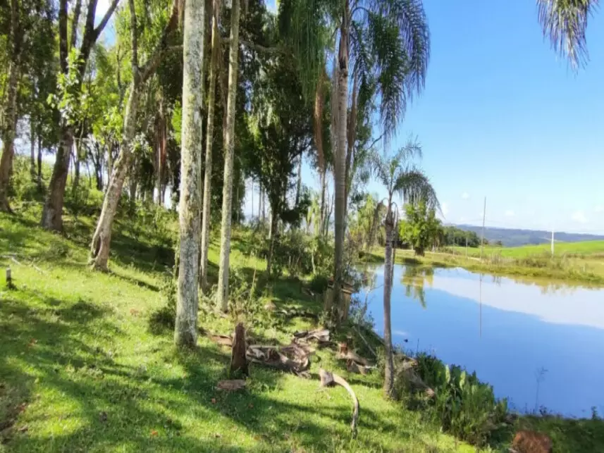 Fazenda à venda em leilão - leilão extrajudicial - Bom Retiro SC - lance mínimo R$ 419.573