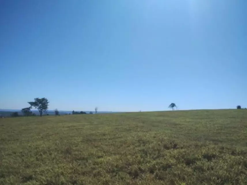 Chácara à venda em leilão - leilão extrajudicial - Ribeirão Bonito SP - lance mínimo R$ 490.000