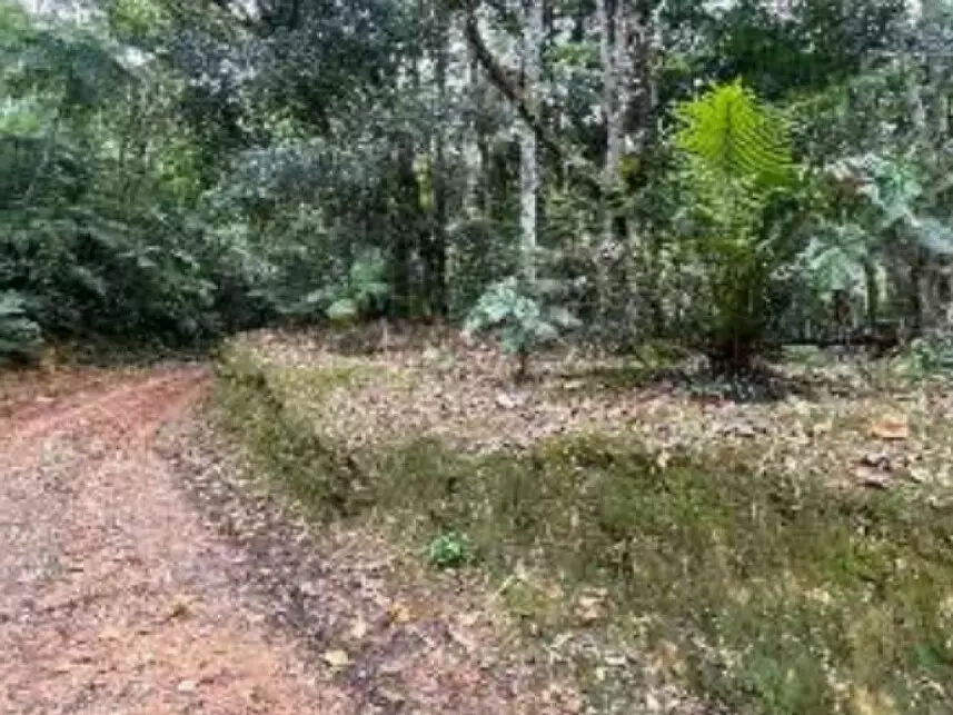 Área Rural à venda em leilão - leilão extrajudicial - Blumenau SC - lance mínimo R$ 748.780