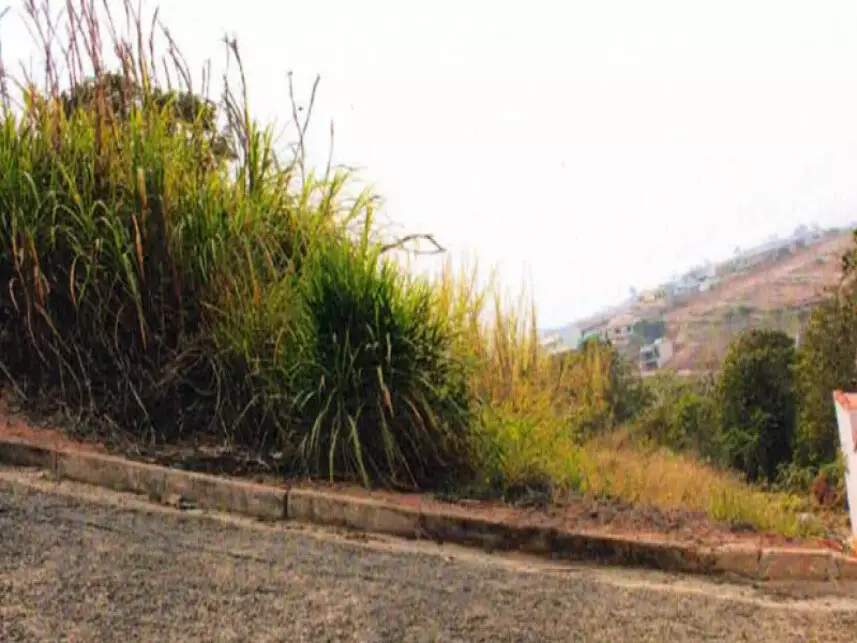 Terreno à venda em leilão - leilão extrajudicial - Juruaia MG - lance mínimo R$ 47.000