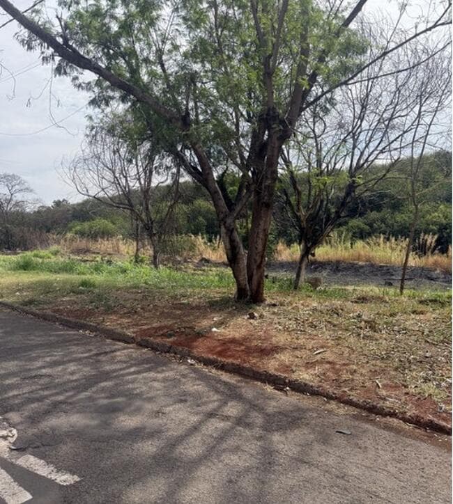 Imóvel - Gleba Rib. Pinguim em Maringá/Pr. - leilão judicial - Maringá PR - lance mínimo R$ 3.527.704